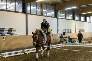 Bild 185 - Voltigierturnier